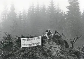 Angst um den Wald