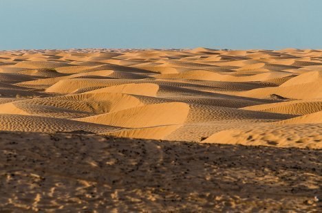 Haben Menschen die Sahara geschaffen?