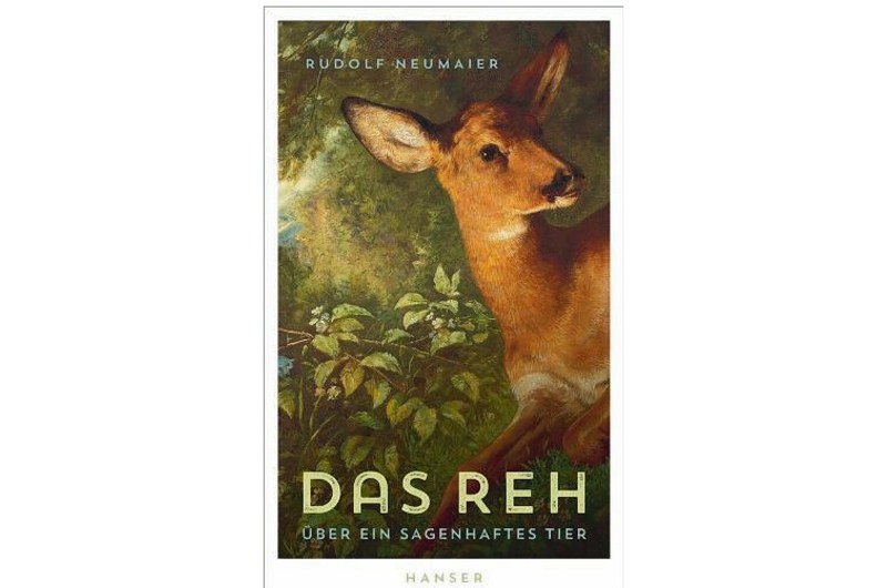Plädoyer für das Reh