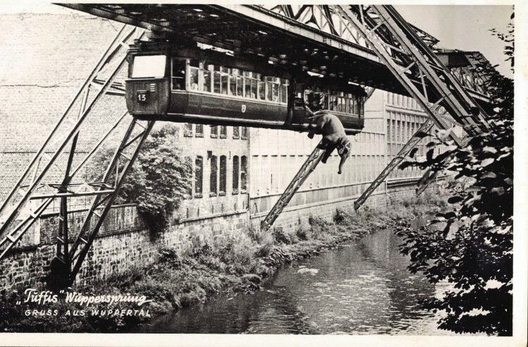 Tuffi springt in die Wupper
