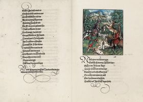 Die Abenteuer des Ritters Theuerdank – Kolorierter Nachdruck der Gesamtausgabe von
         1517. Mit einer Einführung von Stephan Füssel