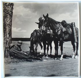 Private Kriegsfotos sind wichtige historische Dokumente