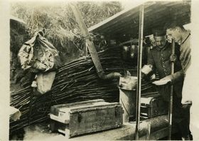 Sinneswahrnehmungen im Ersten Weltkrieg