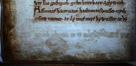 Geisterhafte Gesichter und Texte in berühmtem Manuskript entdeckt