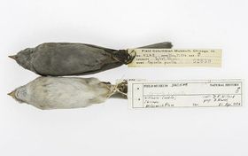 „Dreckspatzen“ berichten von der Geschichte der Umweltverschmutzung
