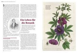 Ein Leben für die Botanik