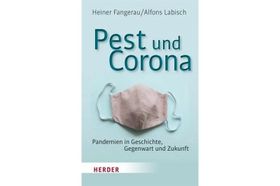Pandemie und Geschichte