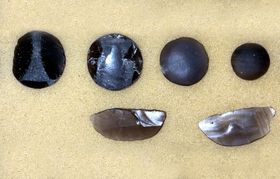 Archäologie mit Künstlicher Intelligenz