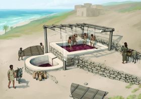 Phönizische Weinpresse entdeckt