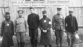 Gefangene Stimmen
