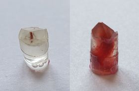 Geheimnis beständiger Farbenpracht gelüftet