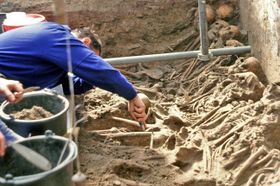 „Pestilenz“ entpuppt sich als Paratyphus