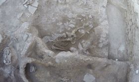 Erstes menschliches Opfer der Thera-Katastrophe entdeckt