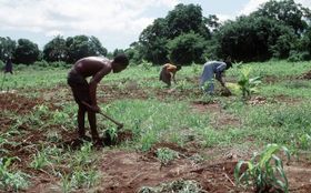 Afrika: Wanderung der Bantu-Völker rekonstruiert