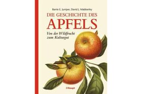 Der lange Weg in die Obstschale