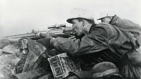 An der Seite der Deutschen in den Untergang
