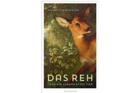 Plädoyer für das Reh