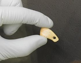 Steinzeit-Schmuck gibt Frauen-DNA preis