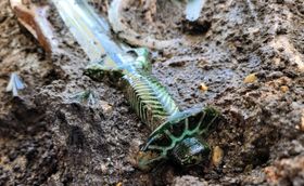 Nördlingen: 3000 Jahres altes Bronzeschwert entdeckt