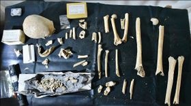 DNA-Analysen bestätigen Identität von Bischof Teodomiro