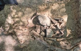 Selbstmörder und "Wiedergänger" auf dem Galgenberg