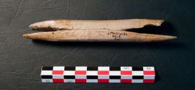 Belege für Kannibalismus der Magdalénien-Kultur