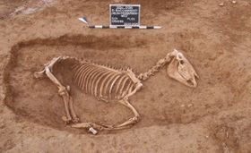 Letzte Ruhestätte für römische Reittiere