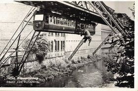 Tuffi springt in die Wupper