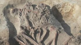 Familiengrab aus der Mittelsteinzeit entdeckt