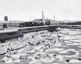 Imperiale Arbeitsteilung und verzögerte Industrialisierung
