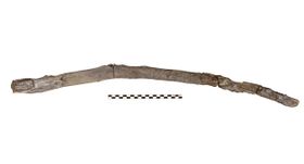 Frühester Nachweis von prähistorischen Holzwerkzeugen