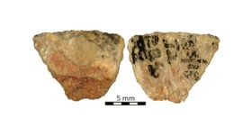 Jagd mit Giftpfeilen gab es schon vor 60.000 Jahren