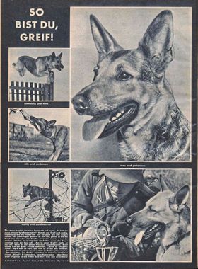Tiere im Dienst der NS-Herrschaft