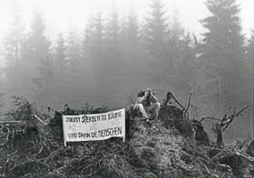 Angst um den Wald